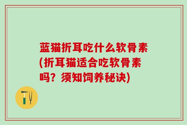 蓝猫折耳吃什么软骨素(折耳猫适合吃软骨素吗?须知饲养秘诀)-第1张图片-氨糖科普网 蓝猫折耳吃什么软骨素(折耳猫适合吃软骨素吗?须知饲养秘诀)-第1张图片-氨糖科普网