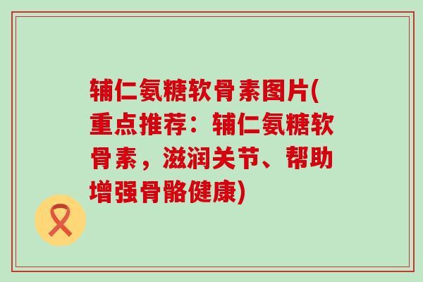 辅仁氨糖软骨素图片(重点推荐:辅仁氨糖软骨素,滋润关节、帮助增强骨骼健康)-第1张图片-氨糖科普网 辅仁氨糖软骨素图片(重点推荐:辅仁氨糖软骨素,滋润关节、帮助增强骨骼健康)-第1张图片-氨糖科普网