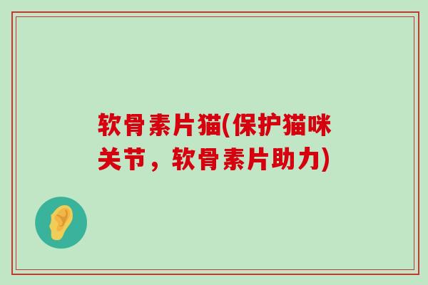 软骨素片猫(保护猫咪关节,软骨素片助力)-第1张图片-氨糖科普网 软骨素片猫(保护猫咪关节,软骨素片助力)-第1张图片-氨糖科普网
