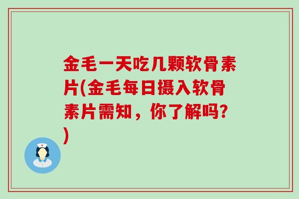 金毛一天吃几颗软骨素片(金毛每日摄入软骨素片需知,你了解吗?)-第1张图片-氨糖科普网 金毛一天吃几颗软骨素片(金毛每日摄入软骨素片需知,你了解吗?)-第1张图片-氨糖科普网