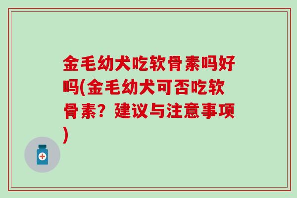 金毛幼犬吃软骨素吗好吗(金毛幼犬可否吃软骨素?建议与注意事项)-第1张图片-氨糖科普网 金毛幼犬吃软骨素吗好吗(金毛幼犬可否吃软骨素?建议与注意事项)-第1张图片-氨糖科普网