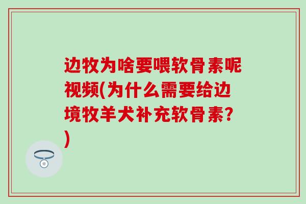 边牧为啥要喂软骨素呢视频(为什么需要给边境牧羊犬补充软骨素？)-第1张图片-氨糖科普网
