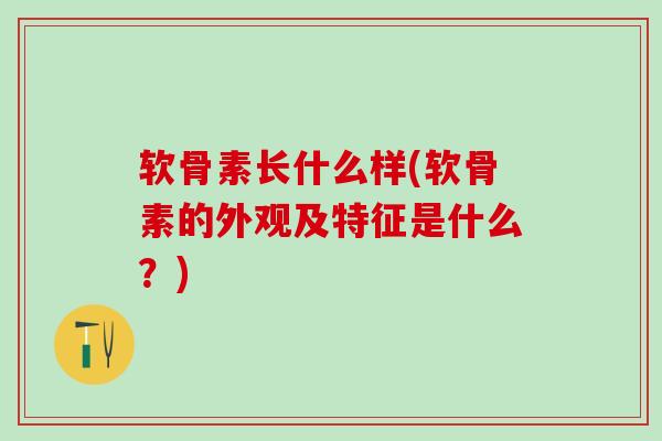 软骨素长什么样(软骨素的外观及特征是什么?)-第1张图片-氨糖科普网 软骨素长什么样(软骨素的外观及特征是什么?)-第1张图片-氨糖科普网