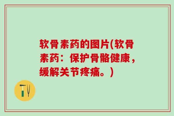 软骨素药的图片(软骨素药：保护骨骼健康，缓解关节疼痛。)-第1张图片-氨糖科普网