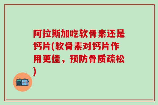 阿拉斯加吃软骨素还是钙片(软骨素对钙片作用更佳，预防骨质疏松)-第1张图片-氨糖科普网