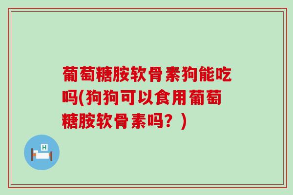 葡萄糖胺软骨素狗能吃吗(狗狗可以食用葡萄糖胺软骨素吗？)-第1张图片-氨糖科普网