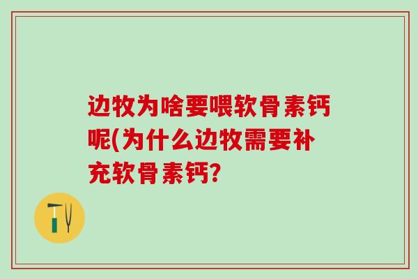 边牧为啥要喂软骨素钙呢(为什么边牧需要补充软骨素钙？-第1张图片-氨糖科普网