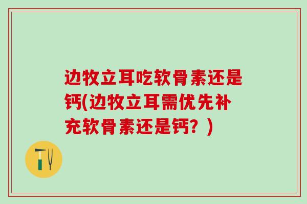 边牧立耳吃软骨素还是钙(边牧立耳需优先补充软骨素还是钙?)-第1张图片-氨糖科普网 边牧立耳吃软骨素还是钙(边牧立耳需优先补充软骨素还是钙?)-第1张图片-氨糖科普网