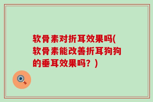 软骨素对折耳效果吗(软骨素能改善折耳狗狗的垂耳效果吗?)-第1张图片-氨糖科普网 软骨素对折耳效果吗(软骨素能改善折耳狗狗的垂耳效果吗?)-第1张图片-氨糖科普网