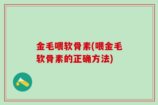 金毛喂软骨素(喂金毛软骨素的正确方法)-第1张图片-氨糖科普网 金毛喂软骨素(喂金毛软骨素的正确方法)-第1张图片-氨糖科普网