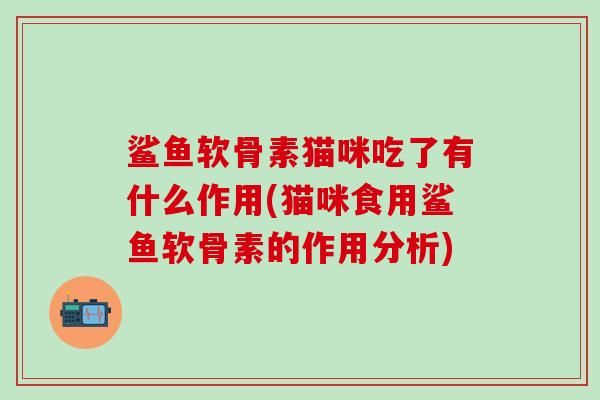 鲨鱼软骨素猫咪吃了有什么作用(猫咪食用鲨鱼软骨素的作用分析)-第1张图片-氨糖科普网 鲨鱼软骨素猫咪吃了有什么作用(猫咪食用鲨鱼软骨素的作用分析)-第1张图片-氨糖科普网