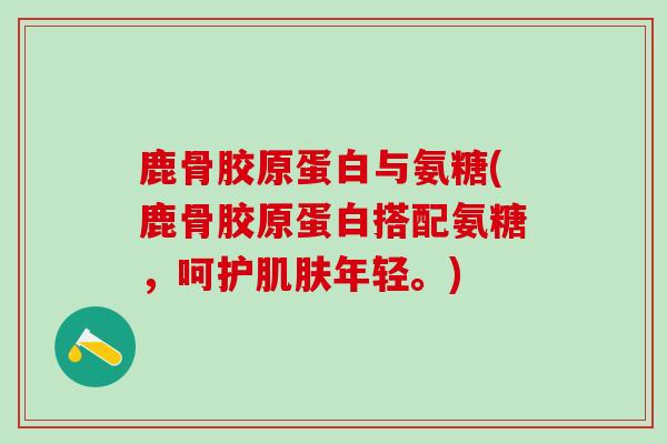 鹿骨胶原蛋白与氨糖(鹿骨胶原蛋白搭配氨糖,呵护肌肤年轻。)-第1张图片-氨糖科普网 鹿骨胶原蛋白与氨糖(鹿骨胶原蛋白搭配氨糖,呵护肌肤年轻。)-第1张图片-氨糖科普网