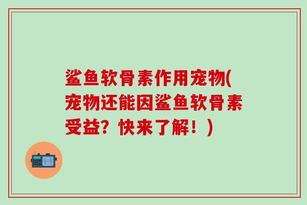 鲨鱼软骨素作用宠物(宠物还能因鲨鱼软骨素受益?快来了解!)-第1张图片-氨糖科普网 鲨鱼软骨素作用宠物(宠物还能因鲨鱼软骨素受益?快来了解!)-第1张图片-氨糖科普网