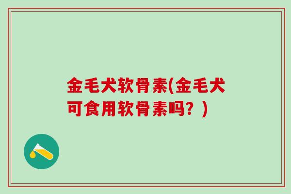 金毛犬软骨素(金毛犬可食用软骨素吗？)-第1张图片-氨糖科普网