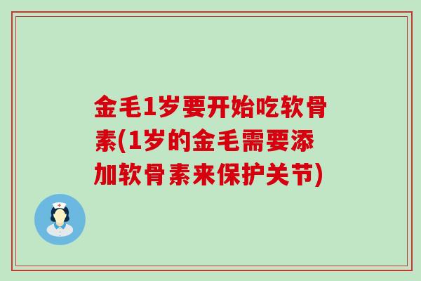 金毛1岁要开始吃软骨素(1岁的金毛需要添加软骨素来保护关节)-第1张图片-氨糖科普网