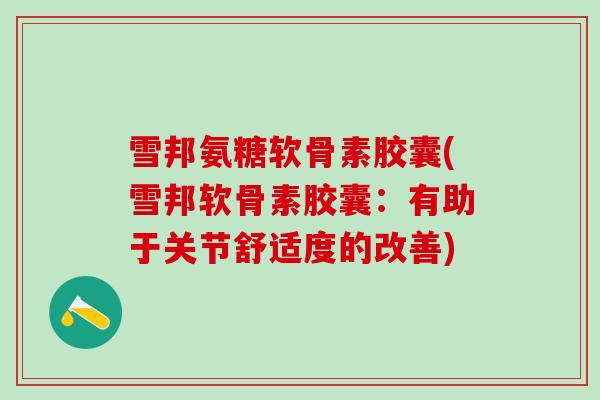 雪邦氨糖软骨素胶囊(雪邦软骨素胶囊:有助于关节舒适度的改善)-第1张图片-氨糖科普网 雪邦氨糖软骨素胶囊(雪邦软骨素胶囊:有助于关节舒适度的改善)-第1张图片-氨糖科普网
