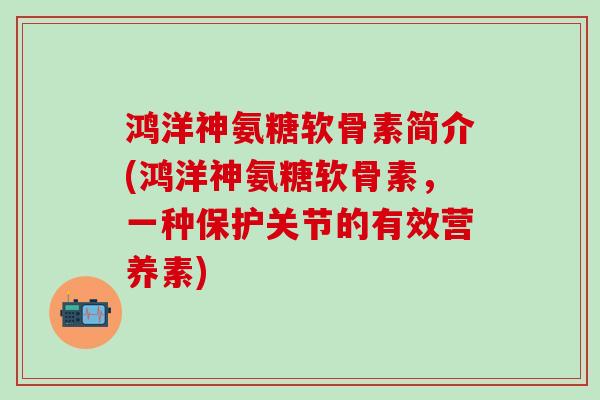 鸿洋神氨糖软骨素简介(鸿洋神氨糖软骨素,一种保护关节的有效营养素)-第1张图片-氨糖科普网 鸿洋神氨糖软骨素简介(鸿洋神氨糖软骨素,一种保护关节的有效营养素)-第1张图片-氨糖科普网