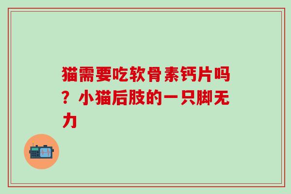 猫需要吃软骨素钙片吗?小猫后肢的一只脚无力-第1张图片-氨糖科普网 猫需要吃软骨素钙片吗?小猫后肢的一只脚无力-第1张图片-氨糖科普网