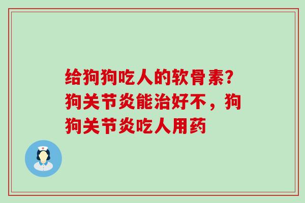 给狗狗吃人的软骨素?狗关节炎能治好不,狗狗关节炎吃人用药-第1张图片-氨糖科普网 给狗狗吃人的软骨素?狗关节炎能治好不,狗狗关节炎吃人用药-第1张图片-氨糖科普网