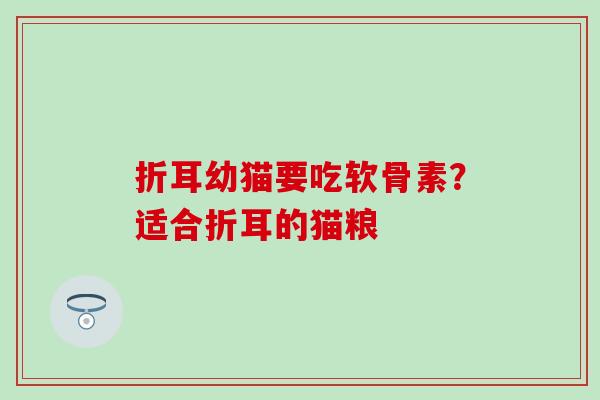 折耳幼猫要吃软骨素?适合折耳的猫粮-第1张图片-氨糖科普网 折耳幼猫要吃软骨素?适合折耳的猫粮-第1张图片-氨糖科普网