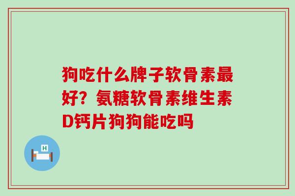 狗吃什么牌子软骨素最好?氨糖软骨素维生素D钙片狗狗能吃吗-第1张图片-氨糖科普网 狗吃什么牌子软骨素最好?氨糖软骨素维生素D钙片狗狗能吃吗-第1张图片-氨糖科普网