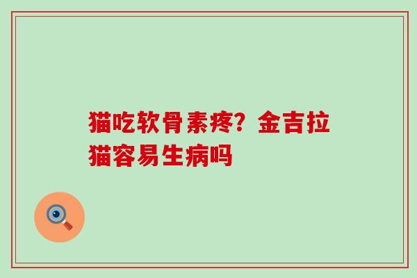 猫吃软骨素疼？金吉拉猫容易生病吗-第1张图片-氨糖科普网