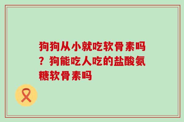狗狗从小就吃软骨素吗？狗能吃人吃的盐酸氨糖软骨素吗-第1张图片-氨糖科普网