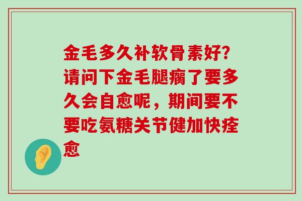 金毛多久补软骨素好？请问下金毛腿瘸了要多久会自愈呢，期间要不要吃氨糖关节健加快痊愈-第1张图片-氨糖科普网