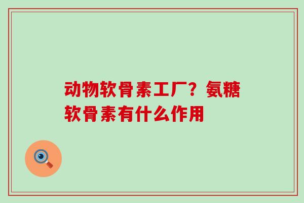动物软骨素工厂?氨糖软骨素有什么作用-第1张图片-氨糖科普网 动物软骨素工厂?氨糖软骨素有什么作用-第1张图片-氨糖科普网