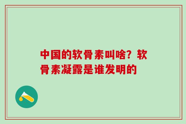 中国的软骨素叫啥？软骨素凝露是谁发明的-第1张图片-氨糖科普网