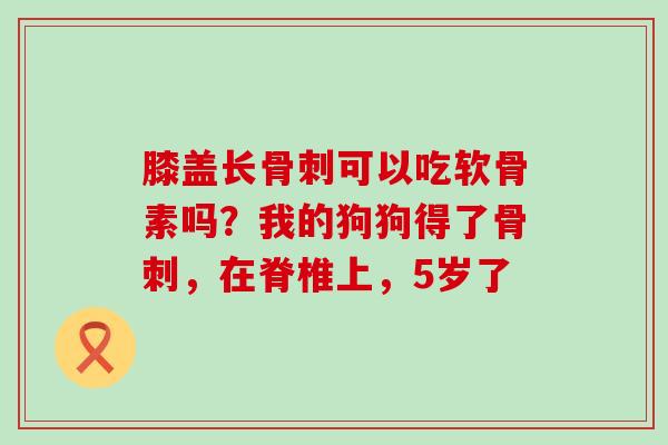膝盖长骨刺可以吃软骨素吗?我的狗狗得了骨刺,在脊椎上,5岁了-第1张图片-氨糖科普网 膝盖长骨刺可以吃软骨素吗?我的狗狗得了骨刺,在脊椎上,5岁了-第1张图片-氨糖科普网