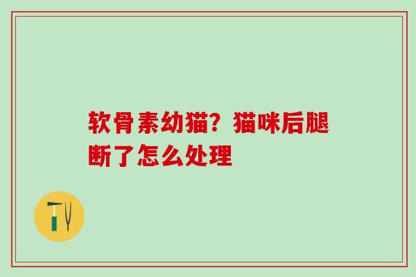 软骨素幼猫?猫咪后腿断了怎么处理-第1张图片-氨糖科普网 软骨素幼猫?猫咪后腿断了怎么处理-第1张图片-氨糖科普网