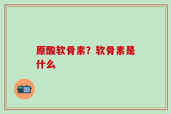 原酸软骨素?软骨素是什么-第1张图片-氨糖科普网 原酸软骨素?软骨素是什么-第1张图片-氨糖科普网