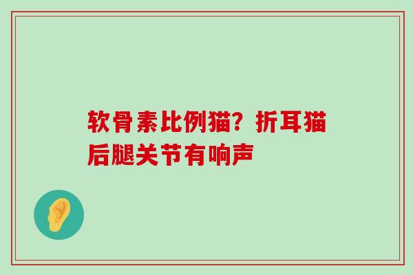 软骨素比例猫?折耳猫后腿关节有响声-第1张图片-氨糖科普网 软骨素比例猫?折耳猫后腿关节有响声-第1张图片-氨糖科普网