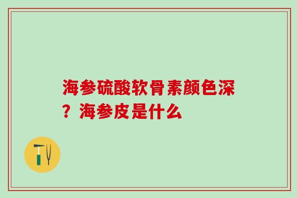 海参硫酸软骨素颜色深？海参皮是什么-第1张图片-氨糖科普网