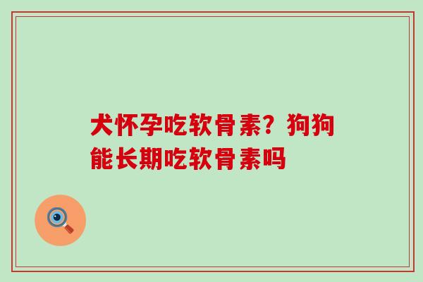 犬怀孕吃软骨素?狗狗能长期吃软骨素吗-第1张图片-氨糖科普网 犬怀孕吃软骨素?狗狗能长期吃软骨素吗-第1张图片-氨糖科普网
