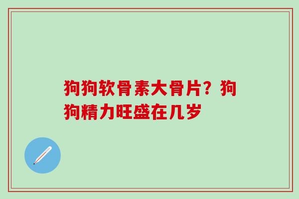 狗狗软骨素大骨片?狗狗精力旺盛在几岁-第1张图片-氨糖科普网 狗狗软骨素大骨片?狗狗精力旺盛在几岁-第1张图片-氨糖科普网