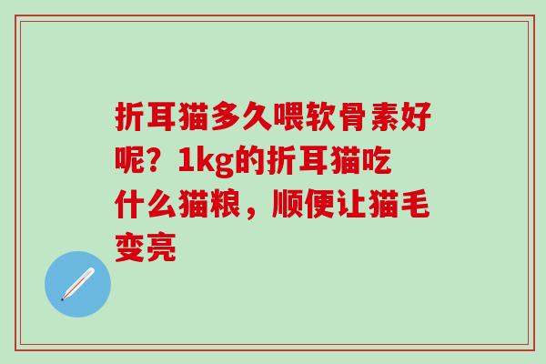 折耳猫多久喂软骨素好呢？1kg的折耳猫吃什么猫粮，顺便让猫毛变亮-第1张图片-氨糖科普网