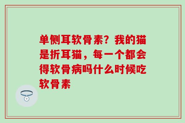 单侧耳软骨素?我的猫是折耳猫,每一个都会得软骨病吗什么时候吃软骨素-第1张图片-氨糖科普网 单侧耳软骨素?我的猫是折耳猫,每一个都会得软骨病吗什么时候吃软骨素-第1张图片-氨糖科普网