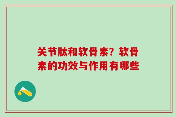 关节肽和软骨素？软骨素的功效与作用有哪些-第1张图片-氨糖科普网