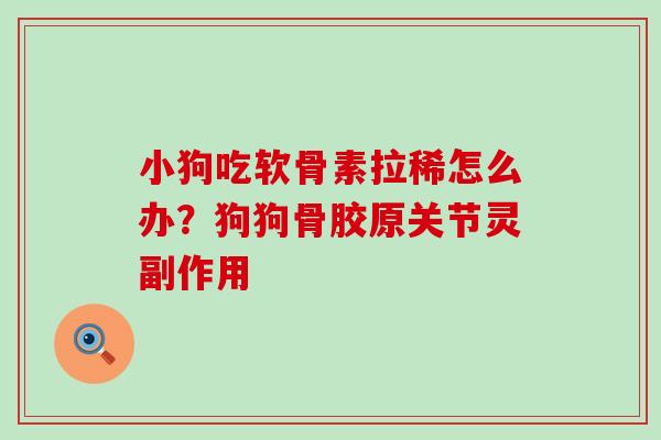 小狗吃软骨素拉稀怎么办？狗狗骨胶原关节灵副作用-第1张图片-氨糖科普网