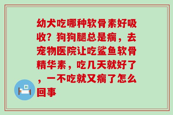 幼犬吃哪种软骨素好吸收?狗狗腿总是瘸,去宠物医院让吃鲨鱼软骨精华素,吃几天就好了,一不吃就又瘸了怎么回事-第1张图片-氨糖科普网 幼犬吃哪种软骨素好吸收?狗狗腿总是瘸,去宠物医院让吃鲨鱼软骨精华素,吃几天就好了,一不吃就又瘸了怎么回事-第1张图片-氨糖科普网