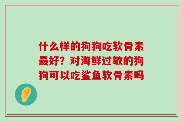 什么样的狗狗吃软骨素最好？对海鲜过敏的狗狗可以吃鲨鱼软骨素吗-第1张图片-氨糖科普网