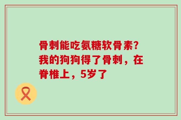 骨刺能吃氨糖软骨素?我的狗狗得了骨刺,在脊椎上,5岁了-第1张图片-氨糖科普网 骨刺能吃氨糖软骨素?我的狗狗得了骨刺,在脊椎上,5岁了-第1张图片-氨糖科普网