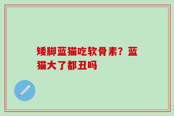 矮脚蓝猫吃软骨素?蓝猫大了都丑吗-第1张图片-氨糖科普网 矮脚蓝猫吃软骨素?蓝猫大了都丑吗-第1张图片-氨糖科普网