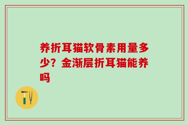 养折耳猫软骨素用量多少?金渐层折耳猫能养吗-第1张图片-氨糖科普网 养折耳猫软骨素用量多少?金渐层折耳猫能养吗-第1张图片-氨糖科普网