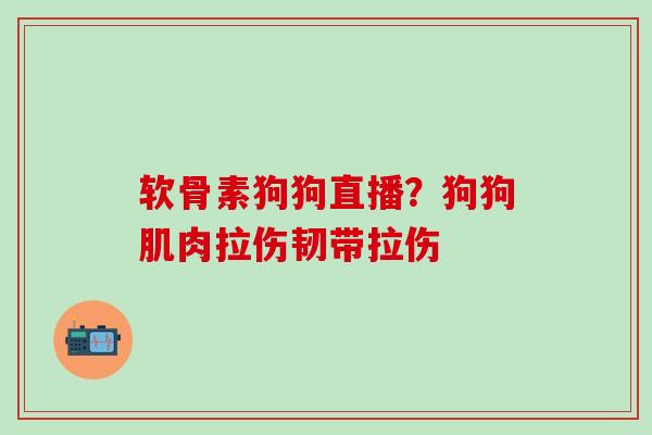 软骨素狗狗直播?狗狗肌肉拉伤韧带拉伤-第1张图片-氨糖科普网 软骨素狗狗直播?狗狗肌肉拉伤韧带拉伤-第1张图片-氨糖科普网