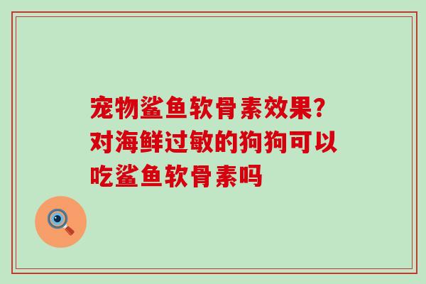 宠物鲨鱼软骨素效果?对海鲜过敏的狗狗可以吃鲨鱼软骨素吗-第1张图片-氨糖科普网 宠物鲨鱼软骨素效果?对海鲜过敏的狗狗可以吃鲨鱼软骨素吗-第1张图片-氨糖科普网