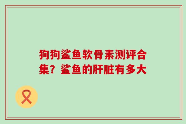狗狗鲨鱼软骨素测评合集?鲨鱼的肝脏有多大-第1张图片-氨糖科普网 狗狗鲨鱼软骨素测评合集?鲨鱼的肝脏有多大-第1张图片-氨糖科普网