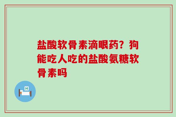 盐酸软骨素滴眼药?狗能吃人吃的盐酸氨糖软骨素吗-第1张图片-氨糖科普网 盐酸软骨素滴眼药?狗能吃人吃的盐酸氨糖软骨素吗-第1张图片-氨糖科普网